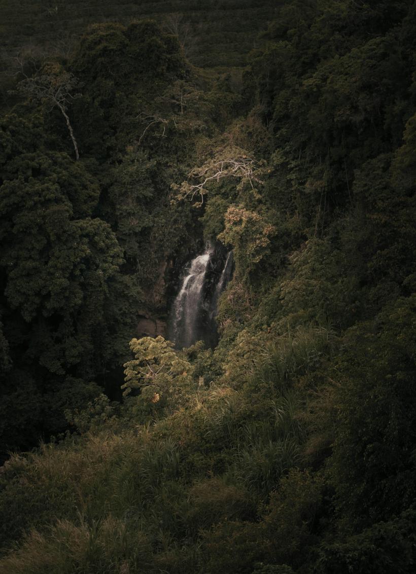 Arenal: simbolul naturii sălbatice din Costa Rica 18933098