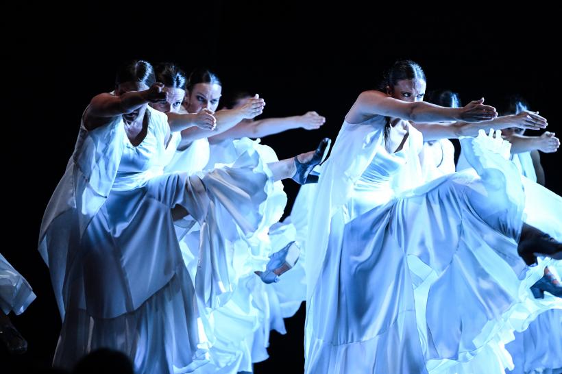 Premierele lunii ianuarie pe Scena Digitală. Oferta specială pentru bilete și abonamente continuă 18933762