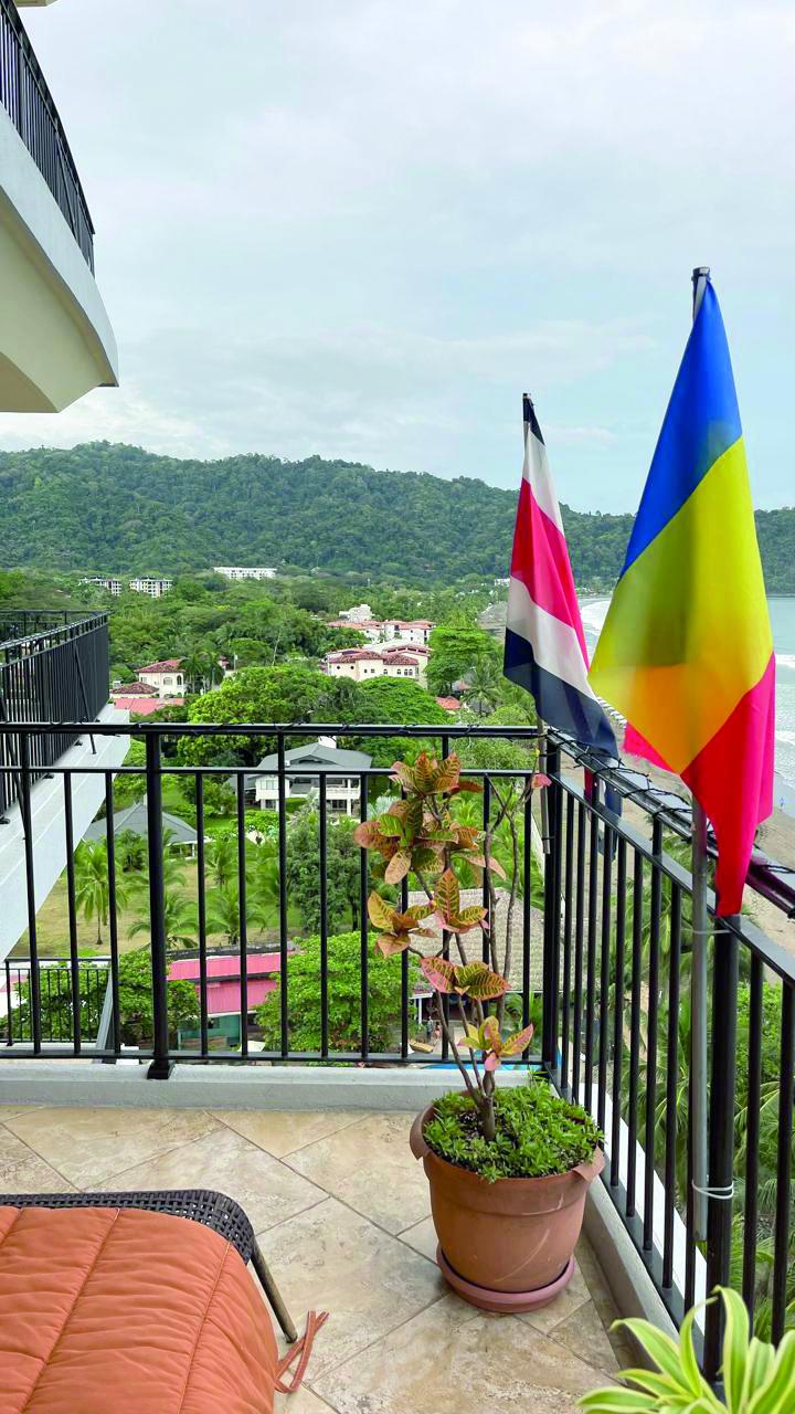 Sărbători fericite! 18934021