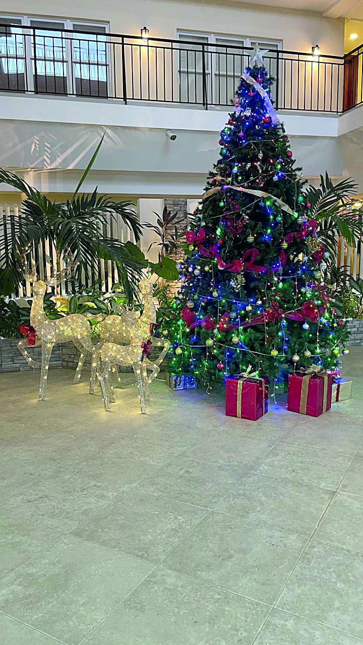 Sărbători fericite! 18934024