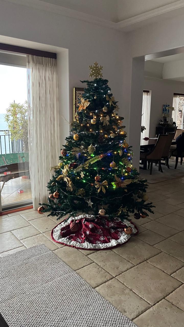 Sărbători fericite! 18934025