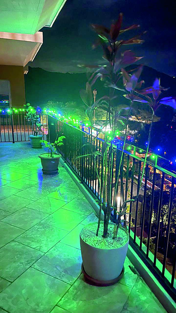 Sărbători fericite! 18934027