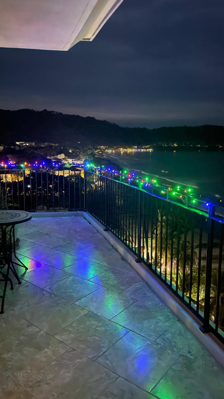 Sărbători fericite! 18934030