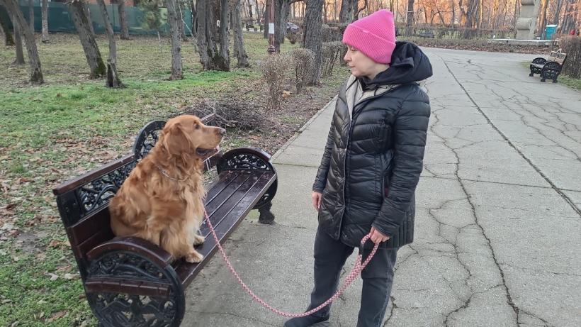 Inimile câinilor bat în ritm cu ale stăpânilor   18935002