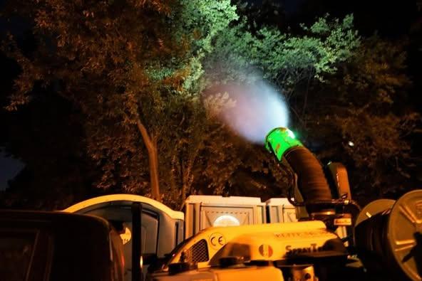 Capitala a cheltuit 30 milioane de lei pentru tratamente împotriva șobolanilor și țânțarilor 18935699