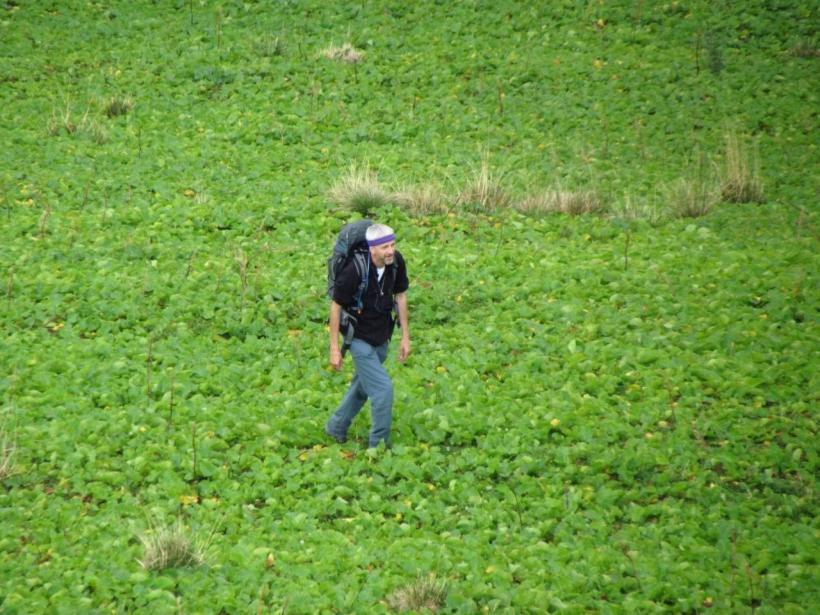 A 2-a ediție FILMIKON, festivalul internațional al filmelor premiate de juriile ecumenice, la București, Iași, Oradea, Cluj și Vatican 18936266