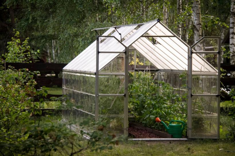 Vești bune pentru români. Cine va beneficia de ajutoare de 200.000 de euro de la stat