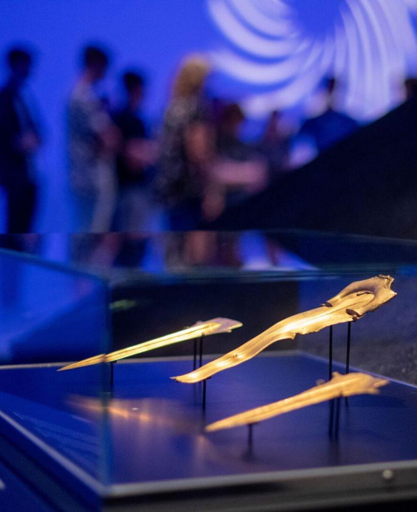 Tezaurul Dacic a dispărut dintr-un muzeu din Olanda: Trei brățări și celebrul coif de Coțofenești au fost furate 18937913