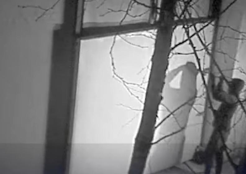 Primele imagini cu hoţii care au furat artefactele dacice dintr-un muzeu olandez. Infractorii nu au fost prinși 18937928