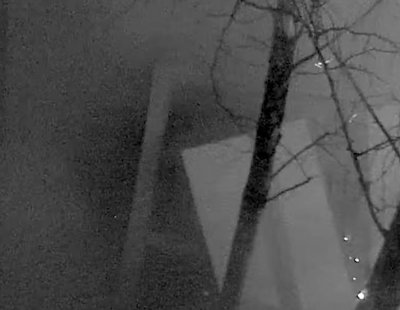 Primele imagini cu hoţii care au furat artefactele dacice dintr-un muzeu olandez. Infractorii nu au fost prinși 18937929