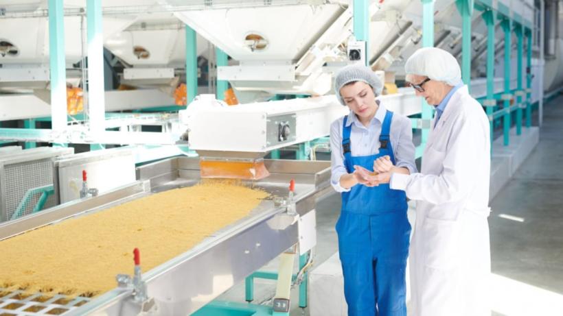 Reductoarele melcate în industria alimentară: De la ambalare la prelucrare