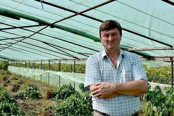 Vine Prima butelie! Ministerul Agriculturii seamănă programe, fermierii spun că nu răsare nimic 18939432