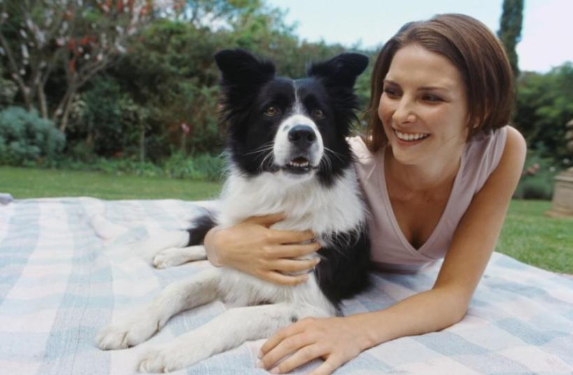 Cum să îți dresezi câinele acasă: Ghid pas cu pas pentru începători