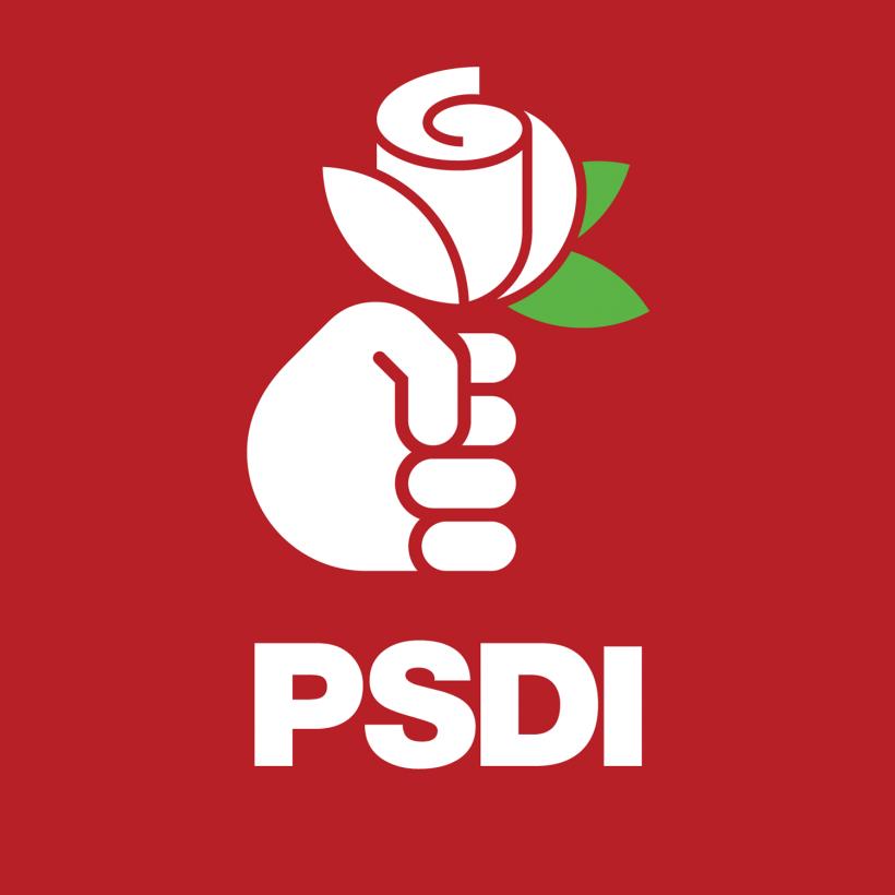 Câți bani au cheltuit partidele „clonă” la PSD pentru cele 206.000 de voturi obținute la alegerile parlamentare 18940307