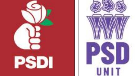 Câți bani au cheltuit partidele „clonă” la PSD pentru cele 206.000 de voturi obținute la alegerile parlamentare