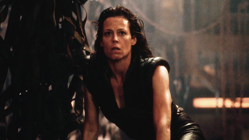 Trei zile de spectacol cinematografic: filme SF și de aventură, pe AXN, în ultimul weekend din februarie 18941436