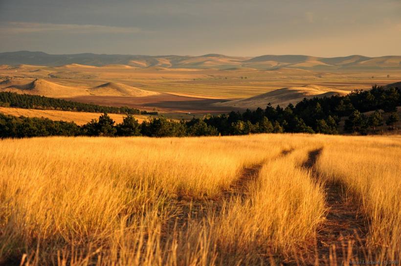 „A îngheța tun” - cum ne-a apropiat Dunărea de limba osmanlâilor 18942116
