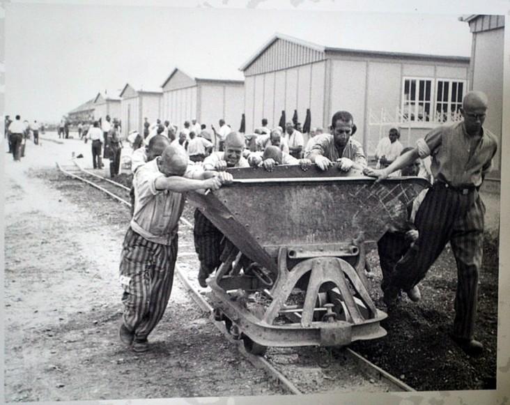 Miliardarii naziști: istoriile familiilor germane îmbogățite în vremea lui Hitler 18942320