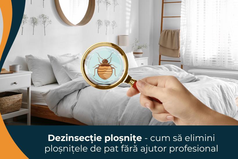 Dezinsecție ploșnițe - cum să elimini ploșnițele de pat fără ajutor profesional
