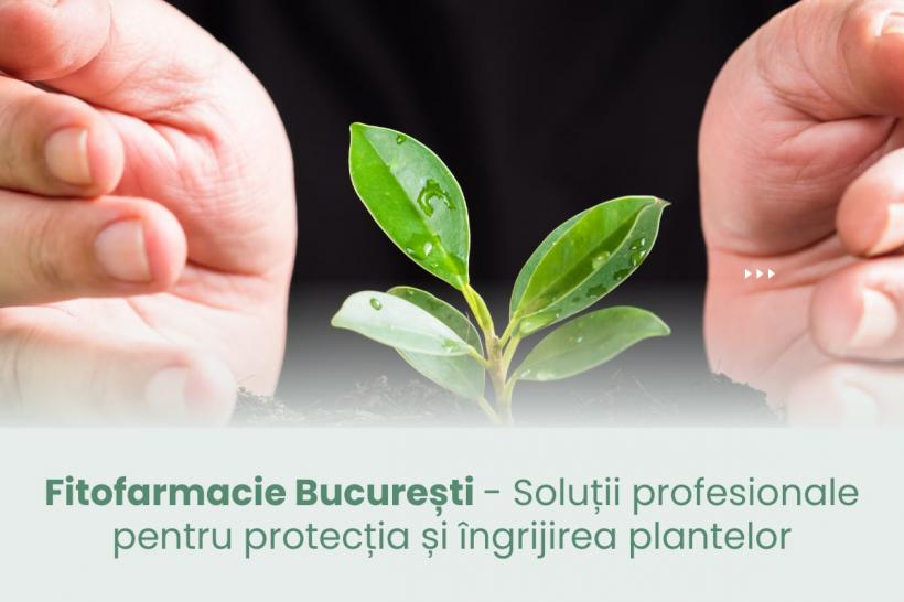 Fitofarmacie București - Soluții profesionale pentru protecția și îngrijirea plantelor