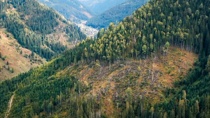 „După Cioate” - documentarul românesc despre curajul activismului de mediu, selectat în competiția Festivalului de Film de la Cracovia 18942829