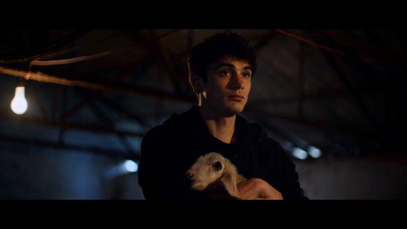 Competiția SMART7: cel mai curajos cinema european se vede la TIFF.24 18942832