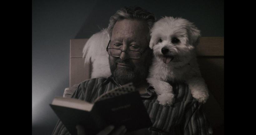 Competiția SMART7: cel mai curajos cinema european se vede la TIFF.24 18942836