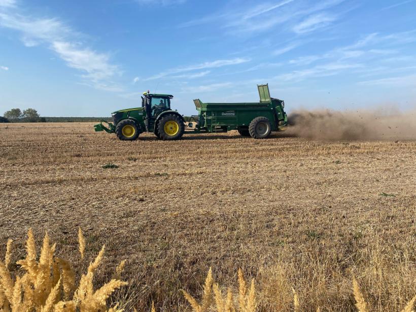 Carmistin The Food Company va prelua divizia de nutriție animală din România a Cargill