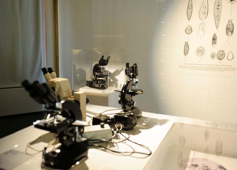 A început un nou sezon Art Safari! Ioan Andreescu - „marele artist național”, Ion Țuculescu - medicul-artist de geniu, Pictorii uitați ai României, alături de Noul val de artiști contemporani! 18943788