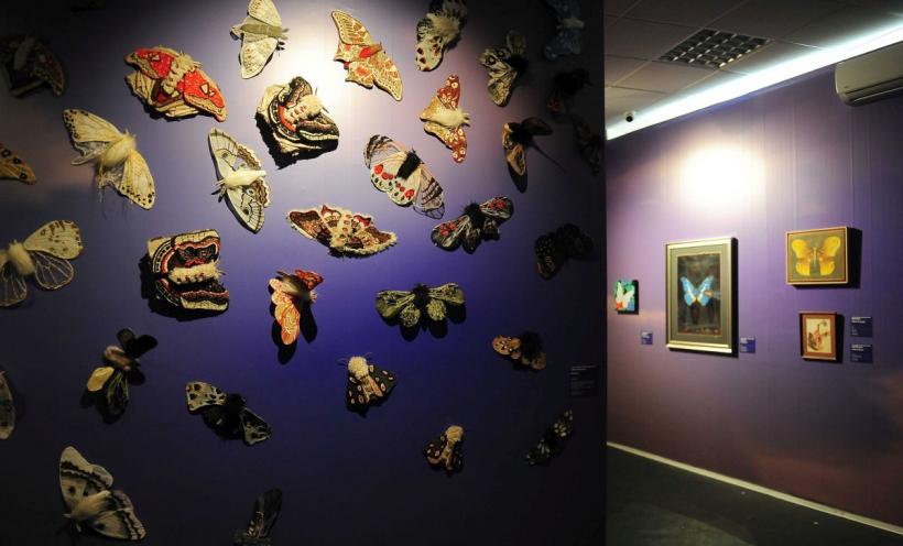 A început un nou sezon Art Safari! Ioan Andreescu - „marele artist național”, Ion Țuculescu - medicul-artist de geniu, Pictorii uitați ai României, alături de Noul val de artiști contemporani! 18943807