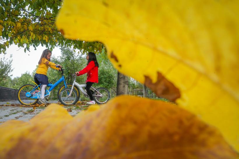 Semnele destinului: Ceva măreț li se pregătește acestor 4 zodii pe 6 martie 2025 