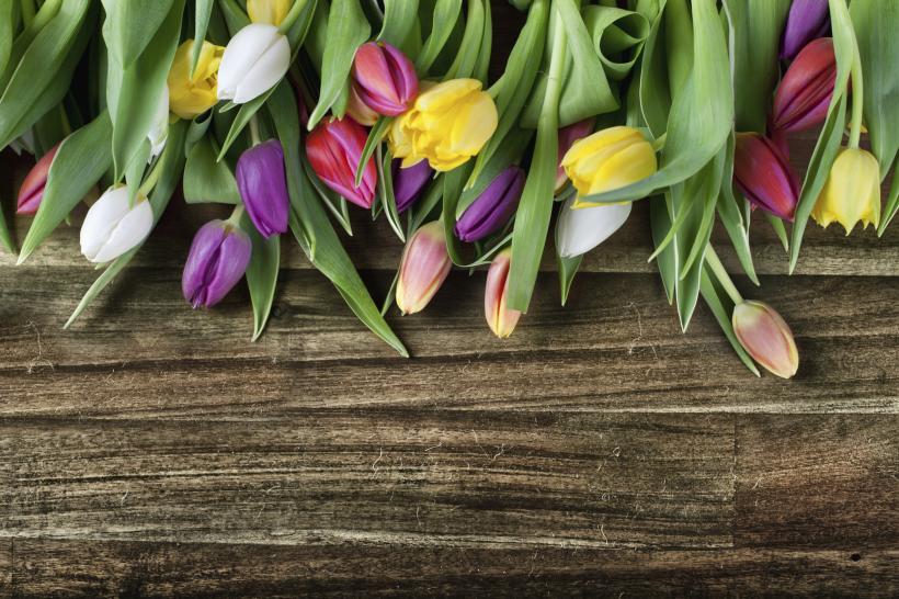 Istoria Zilei Internaționale a Femeii în România și în lume