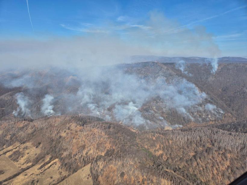 Crimă? Incendiile de vegetație INTENȚIONATE au ucis o femeie și au rănit grav alte 2 persoane, în România 18944051
