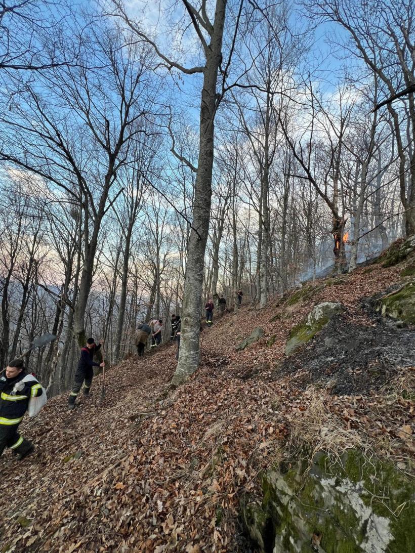 Pompierii cer ajutorul preoților în lupta cu incendiile de vegetație: Mesajul lui Raed Arafat va fi citit în timpul slujbelor  18944055