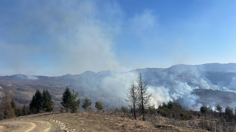 Pompierii cer ajutorul preoților în lupta cu incendiile de vegetație: Mesajul lui Raed Arafat va fi citit în timpul slujbelor  18944057