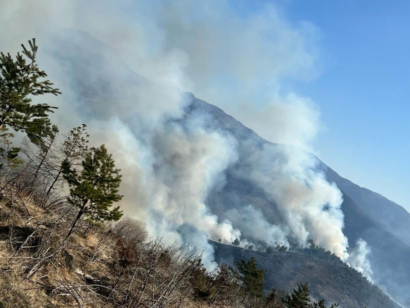 Pompierii cer ajutorul preoților în lupta cu incendiile de vegetație: Mesajul lui Raed Arafat va fi citit în timpul slujbelor  18944058