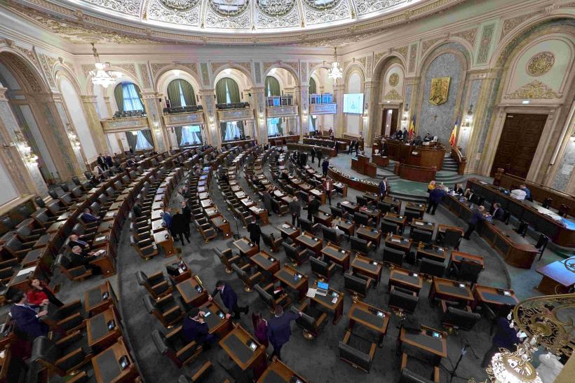 Victorie! 10% dintre senatori au descoperit munca. SOS și POT, în grupul „zero legi”