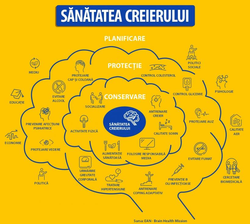 Bolile neurologice, în creștere. Cum putem să protejăm sănătatea creierului 18944239