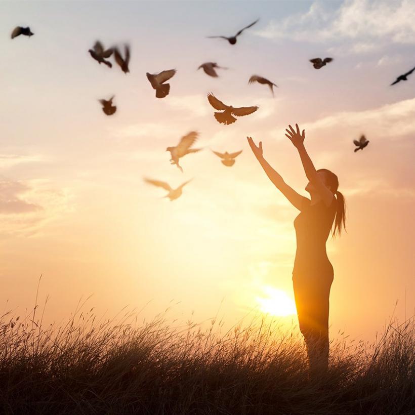 „De ce” - întrebarea care te ajută să înțelegi ce-ți dorești cu adevărat 18944222