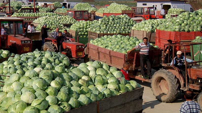 Varză, cartofi și alți demoni. După 10 ani se lansează pe 15 martie 18944266