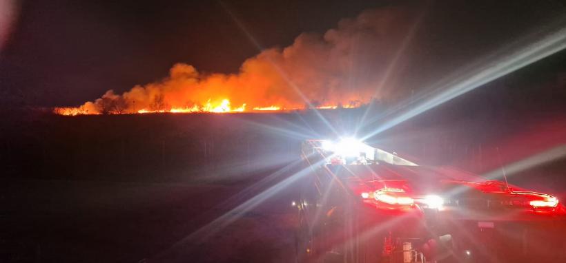 Nu ne învățăm minte! Incendiu de proporții în Delta Dunării 18944867