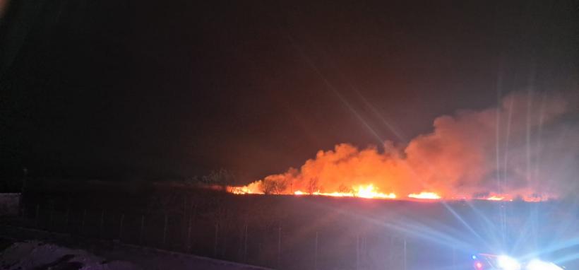 Nu ne învățăm minte! Incendiu de proporții în Delta Dunării 18944868