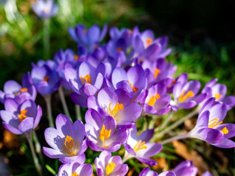 Prognoză meteo București: Vreme deosebit de caldă și maxime de 28 de grade, până sâmbătă seara