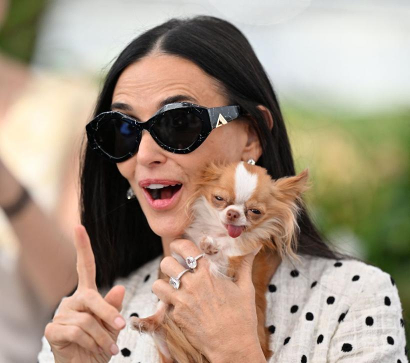 Top 10 cei mai mici câini din lume: Rase adorabile și caracteristicile lor 18944650