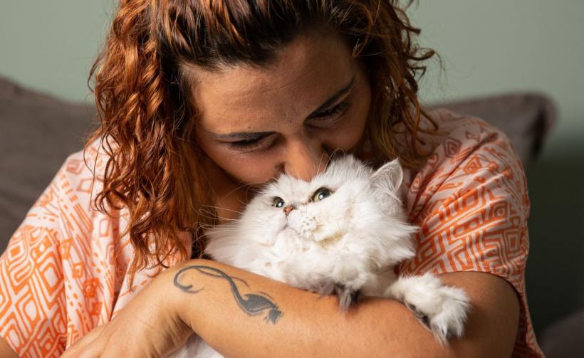 Sfaturi pentru iubitorii de animale. Ce trebuie să știi când vrei să mângâi pisica