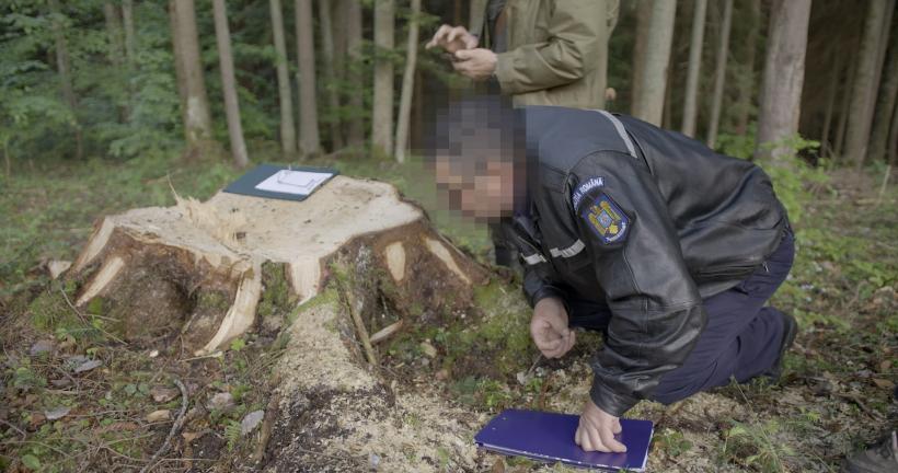 Dialogul este în prim-plan la One World Romania 2025 18944681