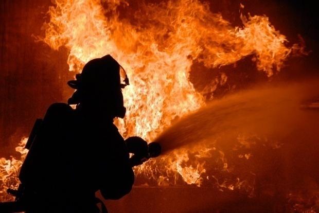 Incendiu în Delta Dunării: se manifestă pe 10 hectare