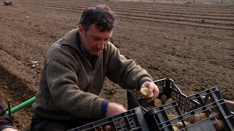 Varză, cartofi și alți demoni. După 10 ani este disponibil de acum online  18945486