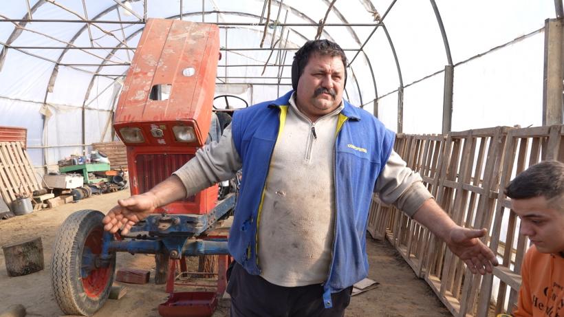 Varză, cartofi și alți demoni. După 10 ani este disponibil de acum online  18945487