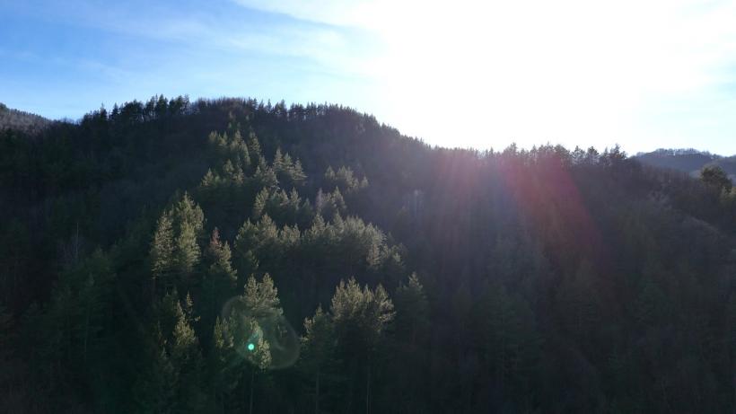 Alege BINE pentru TINE. În fiecare zi. Cum se văd alegerile prezidenţiale la 102 ani: înțelepciunea oamenilor care trăiesc în “Blue zone” de România 18945653